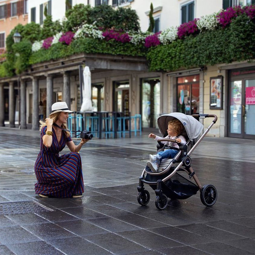 Poussette Best Friend Pro desert taupe 