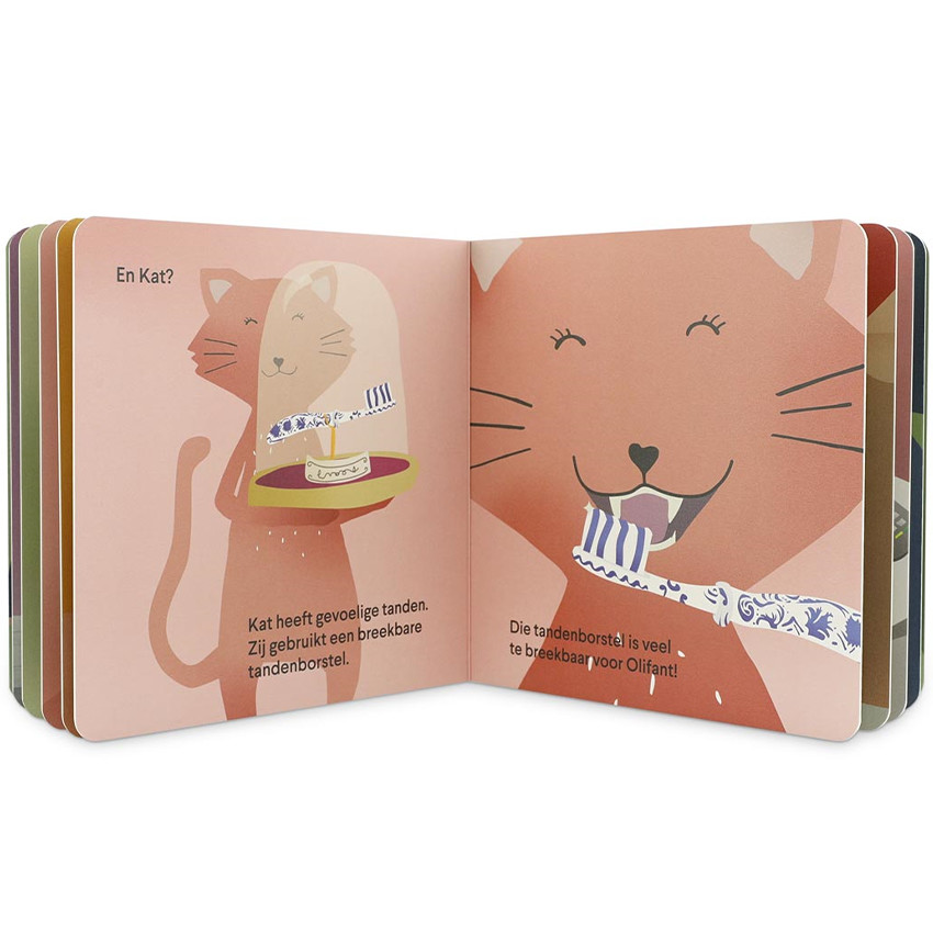 Livre de conte - Olifant heeft vuile tanden - Uniquement en Néerlandais 