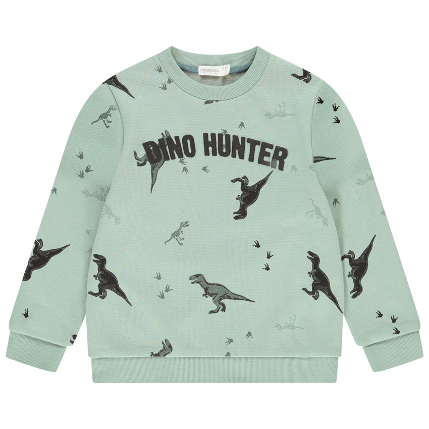 Sweatshirt in fleece met gedrukte dinosaurussen voor jongens 