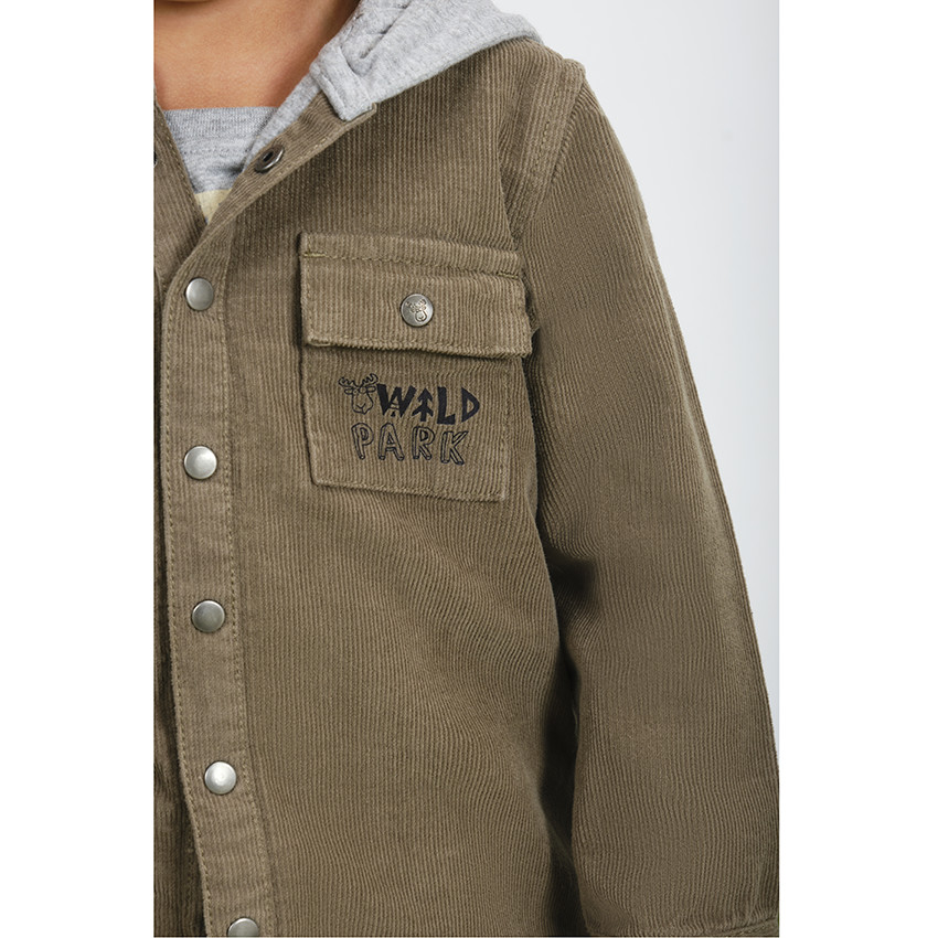 Chemise manches longues en velours milleraies avec capuche pour bébé garçon 