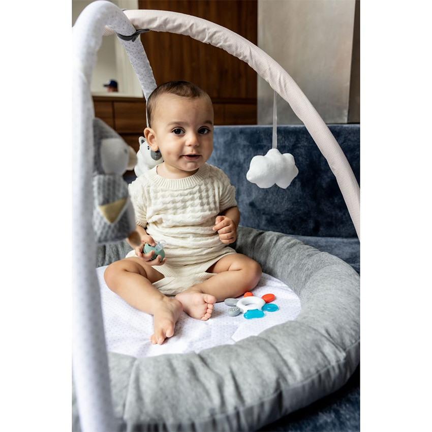 Tapis d'éveil et jeux Baby Gym Pingouin and Friends 0m+ 
