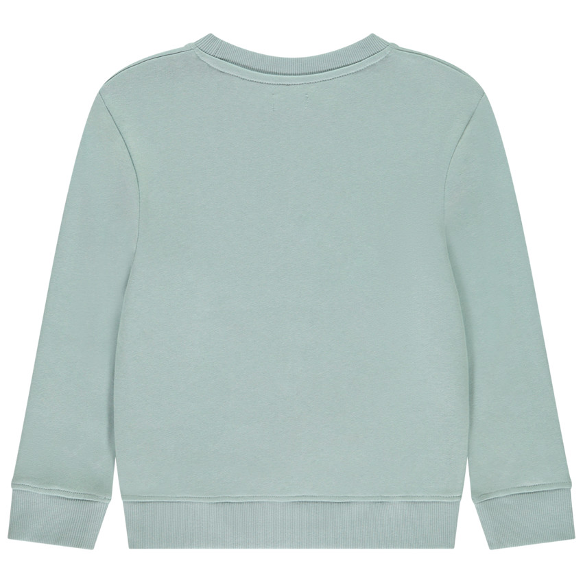 Sweat molleton print "NY city" pour garçon 