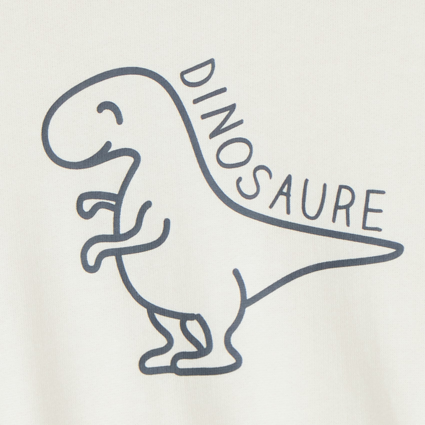 Oversized sweat met dino-print voor babyjongen 