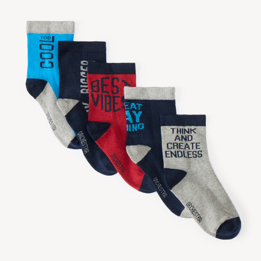 Lot de 5 chaussettes garçon fantaisie  