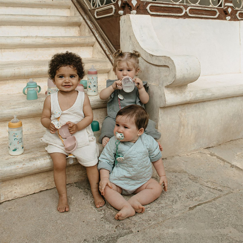 Lot de 2 sucettes silicone SX Pro 18M+ Walk in the park Rose 