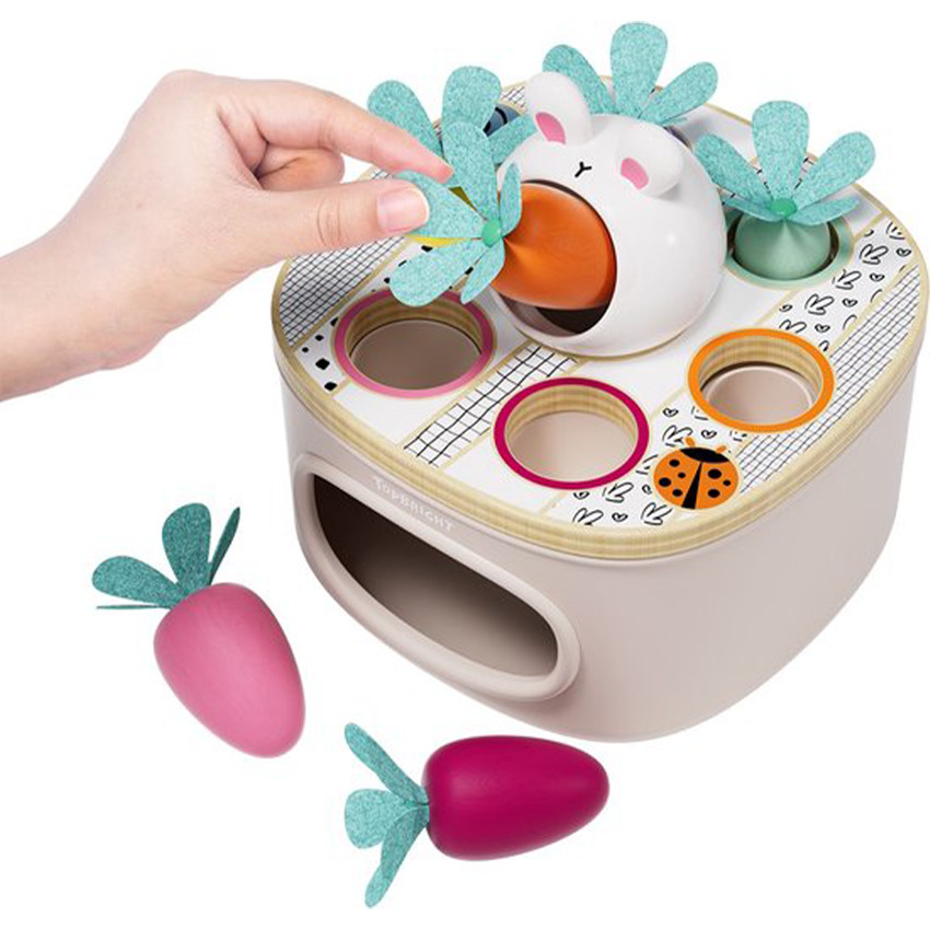 Jeux de formes associer & trier les carottes 12m+ 