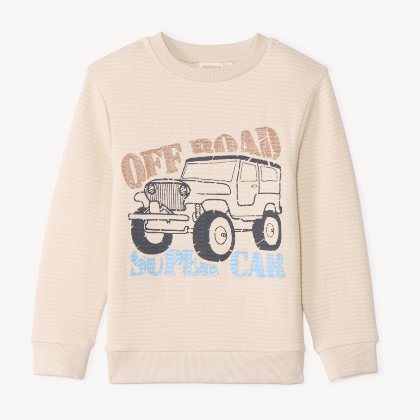 Sweatshirt van fleece met fantasie jongens 