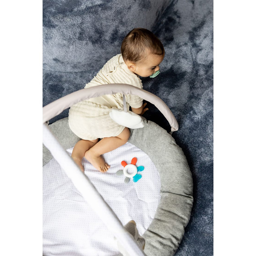 Tapis d'éveil et jeux Baby Gym Pingouin and Friends 0m+ 