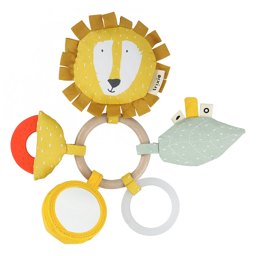 Anneau d'activités - Mr. Lion 