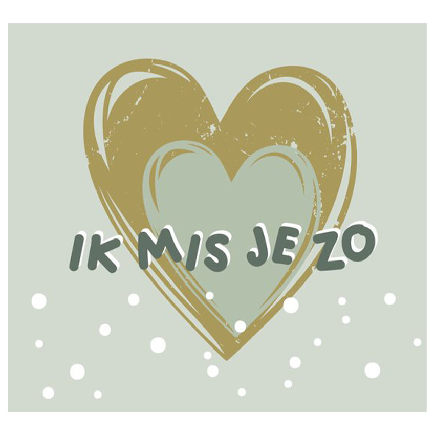 Livre "Tu me manques tellement" Texte Néerlandais" Vert Tendre 