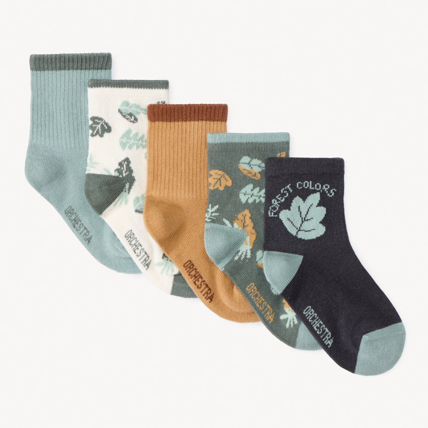 Set van 5 paren fantasievolle normale sokken jongens Forest Colors 