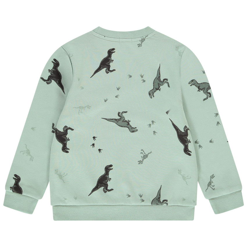 Sweatshirt in fleece met gedrukte dinosaurussen voor jongens 