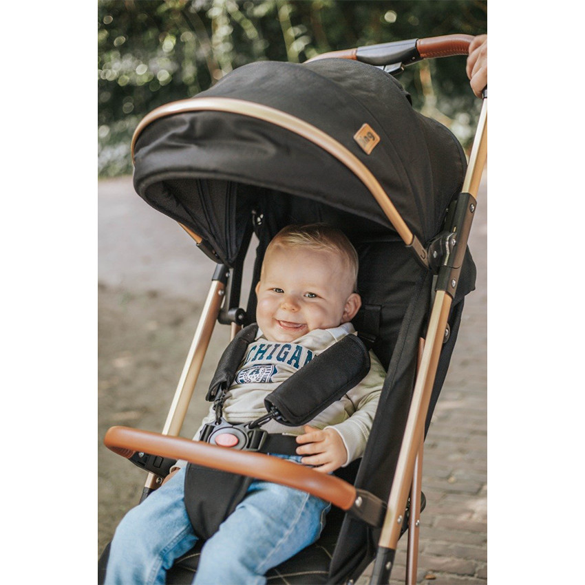 Wandelwagen Buggy Vivo multi positie Zwart/Roze 