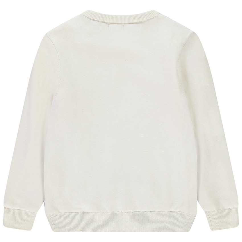 Pull tricot avec doublure velours et motif forêt pour garçon 