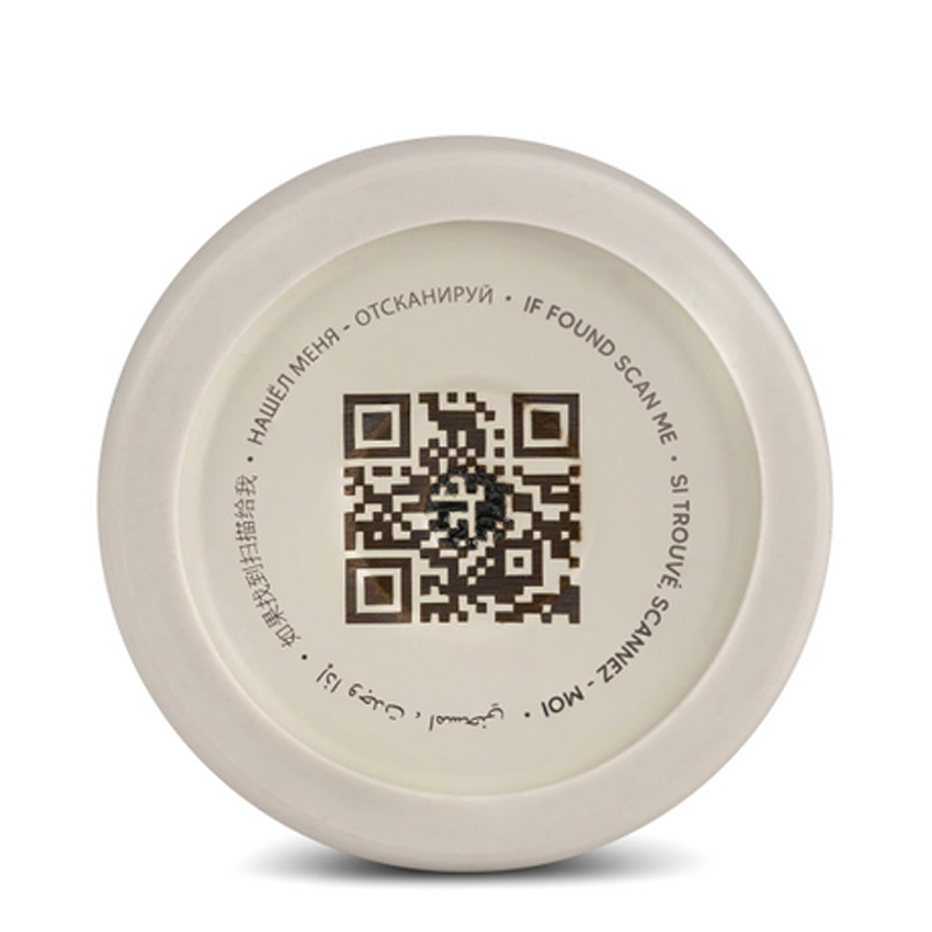 Gourde Isotherme 350ml - Dino 