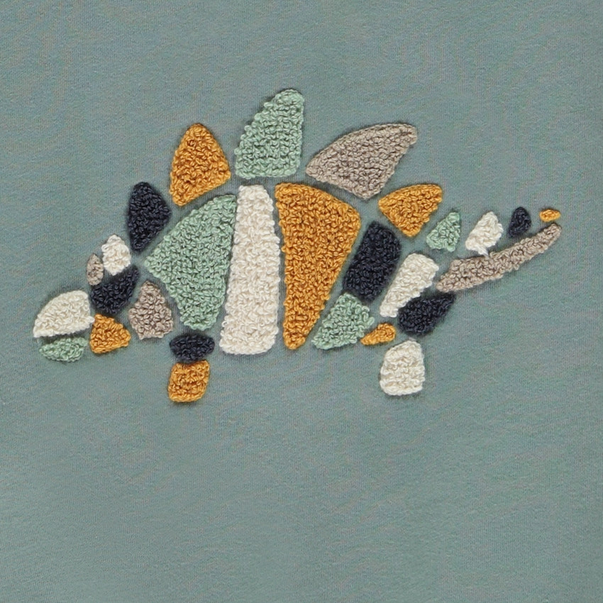 Oversized sweatshirt met dierenmotief voor babyjongen 