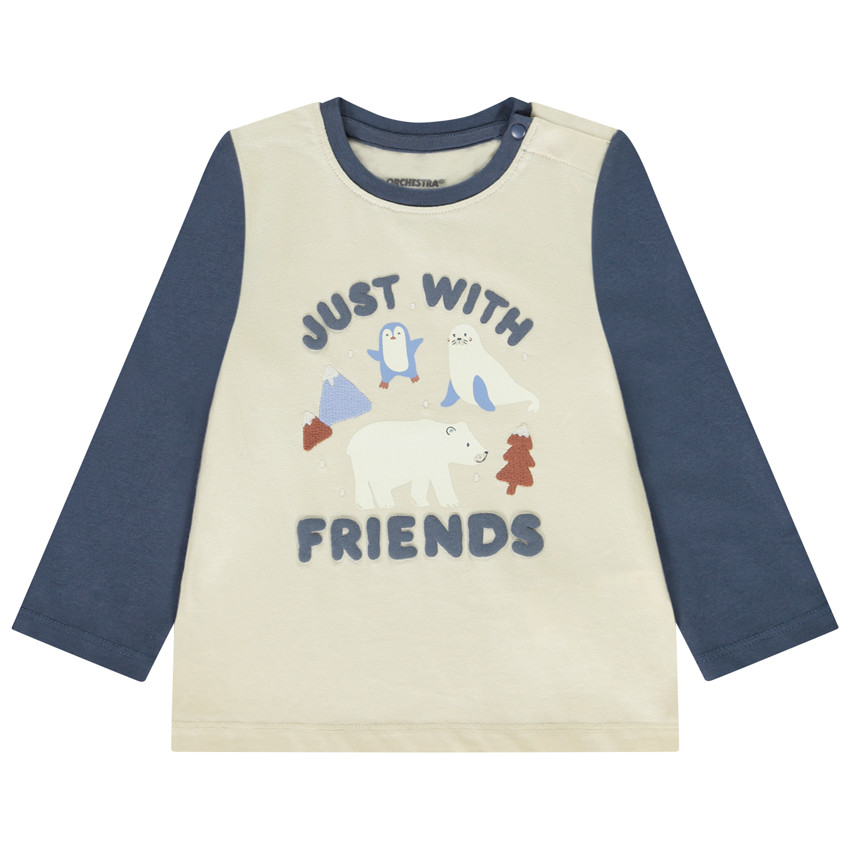 T-shirt manches longues effet color block print Arctique pour bébé garçon 