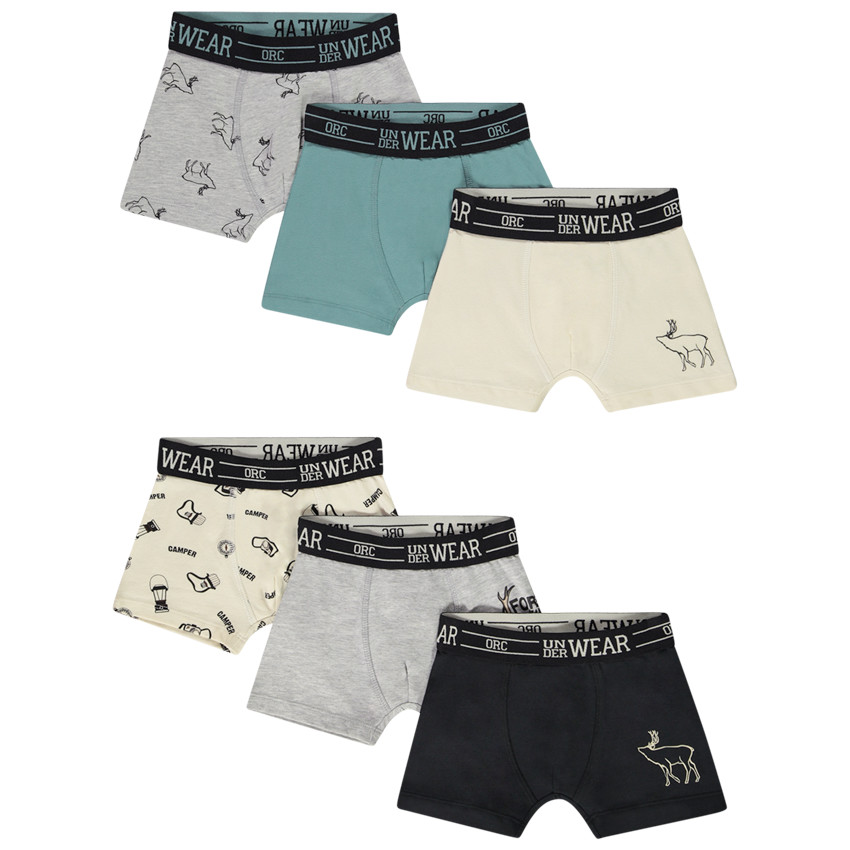 Lot de 6 boxers imprimé fantaisie pour garçon 