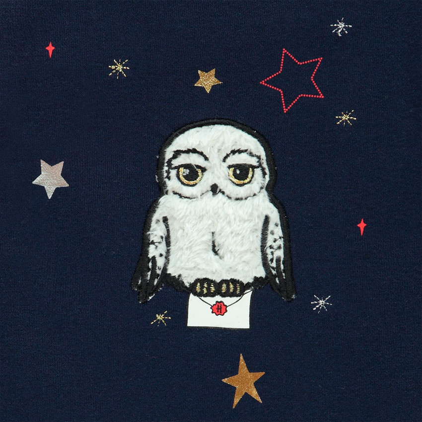 Sweat en molleton motif Hedwige Harry Potter pour enfant fille 
