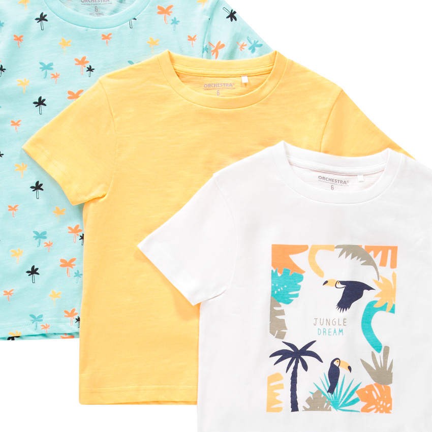 Lot de 5 T-shirts manches courtes pour enfant garçon 