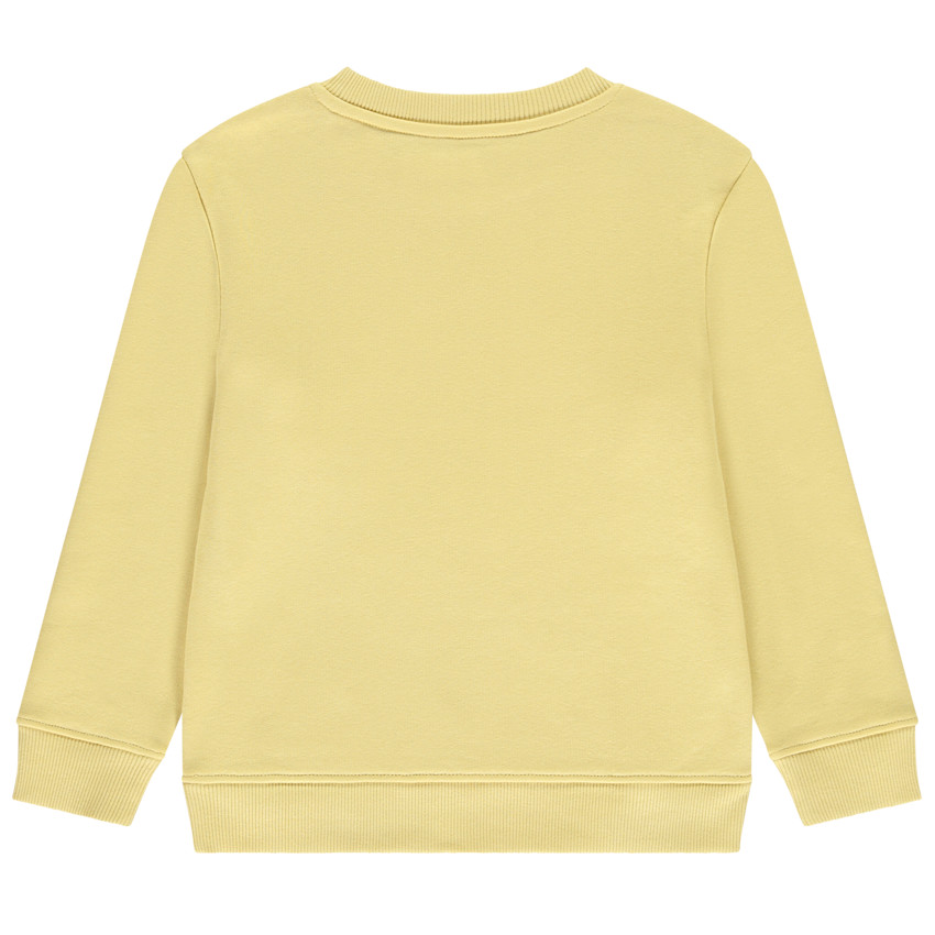 Sweat molleton print dinosaures pour garçon 