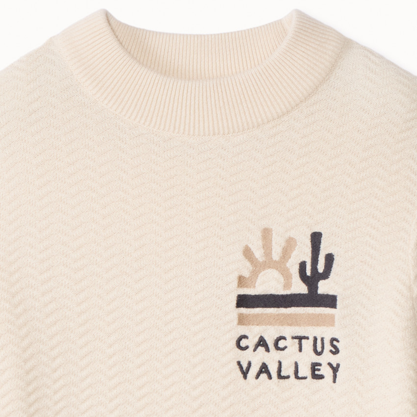 Pull en tricot fantaisie effet color block brodé pour garçon 