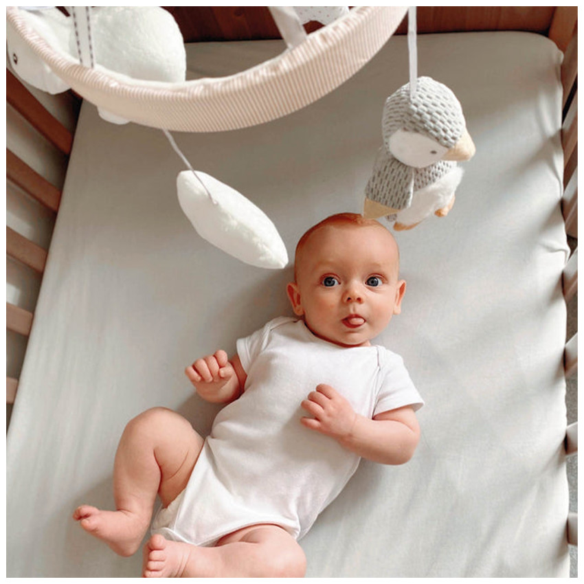 Mobiel muzikaal Pinguïn 0m+ 