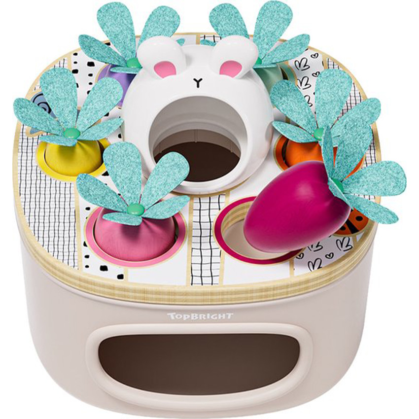 Jeux de formes associer & trier les carottes 12m+ 