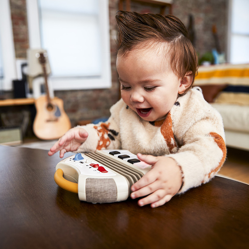Accordéon électronique Rock 