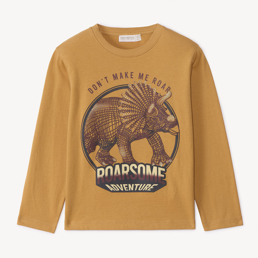 T-shirt manches longues print dinosaure garçon 