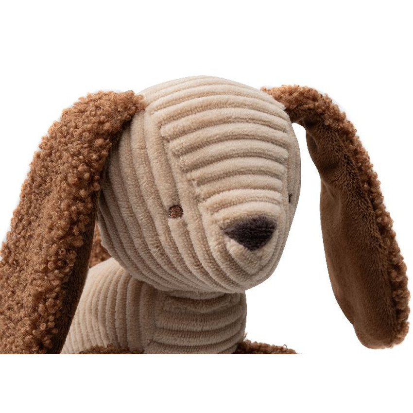 Jouet d'Activités - Diego le chien - Animal Friends 