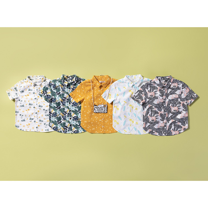 Chemise manches courtes à palmiers et planches imprimés all-over 