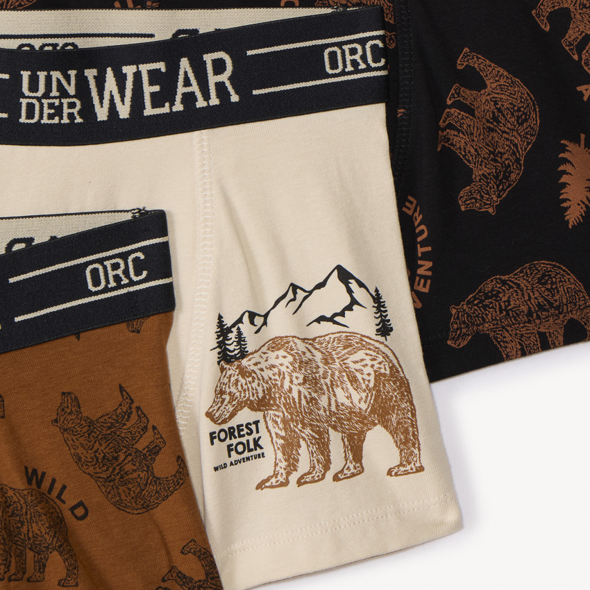 Lot de 5 boxers Bear fantaisie garçon 