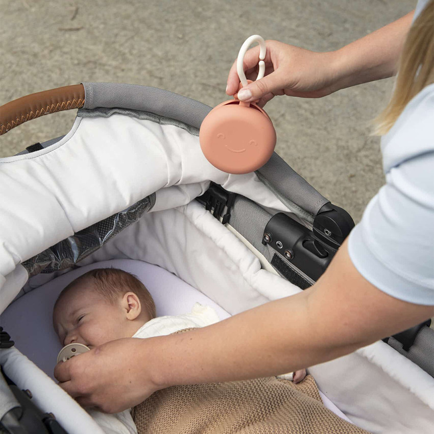 Set van 2 Fopspeen & Snack Zakjes Flower 