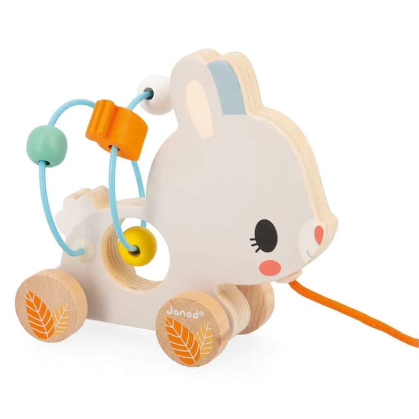 Jouet en bois Baby Looping Animaux (modèle aléatoire) 