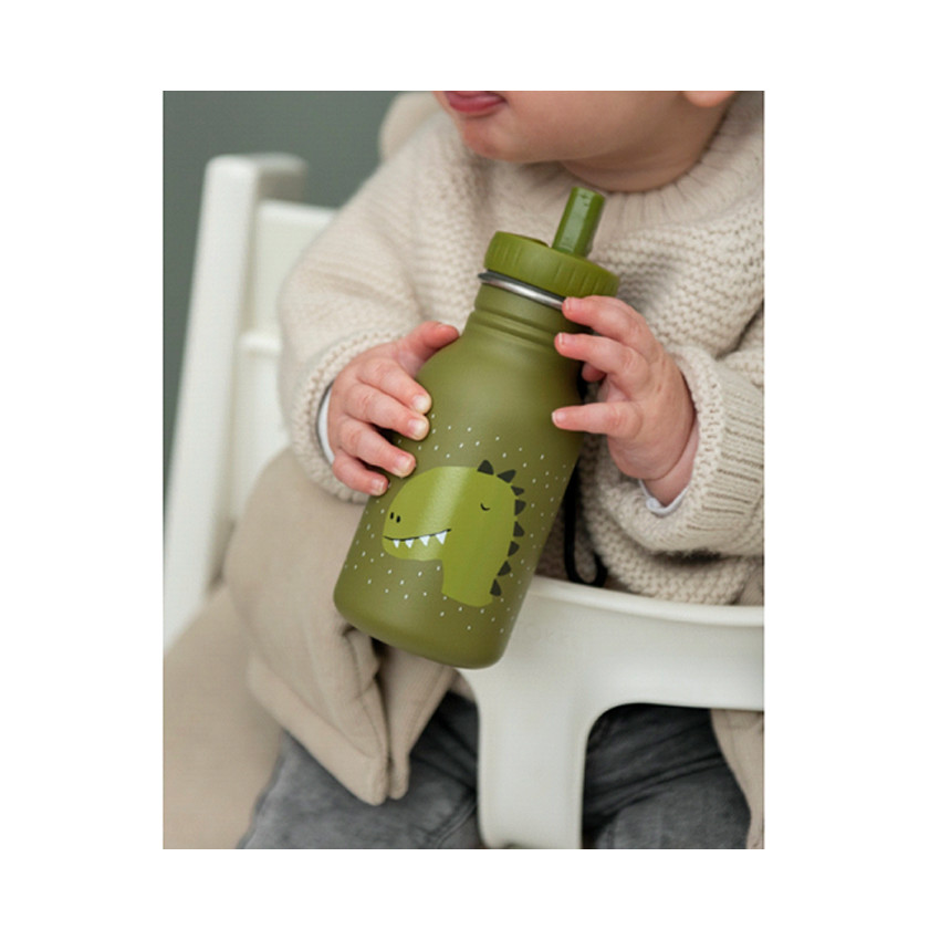 Gourde en acier inoxydable Mr Dino 350ml 