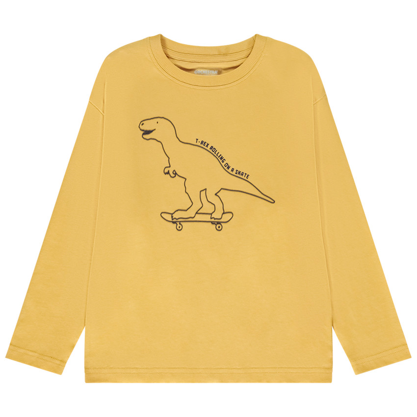 T-shirt met lange mouwen en dinosaurusprint voor jongens 