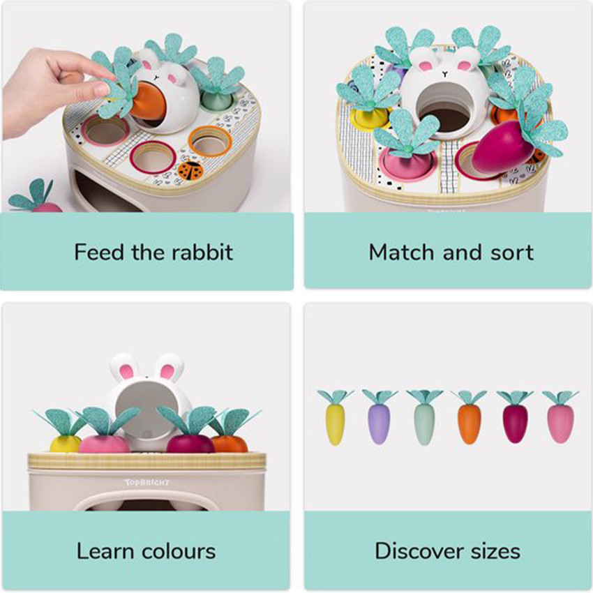 Jeux de formes associer & trier les carottes 12m+ 