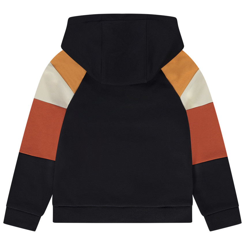 Sweat en molleton effet color block pour garçon 