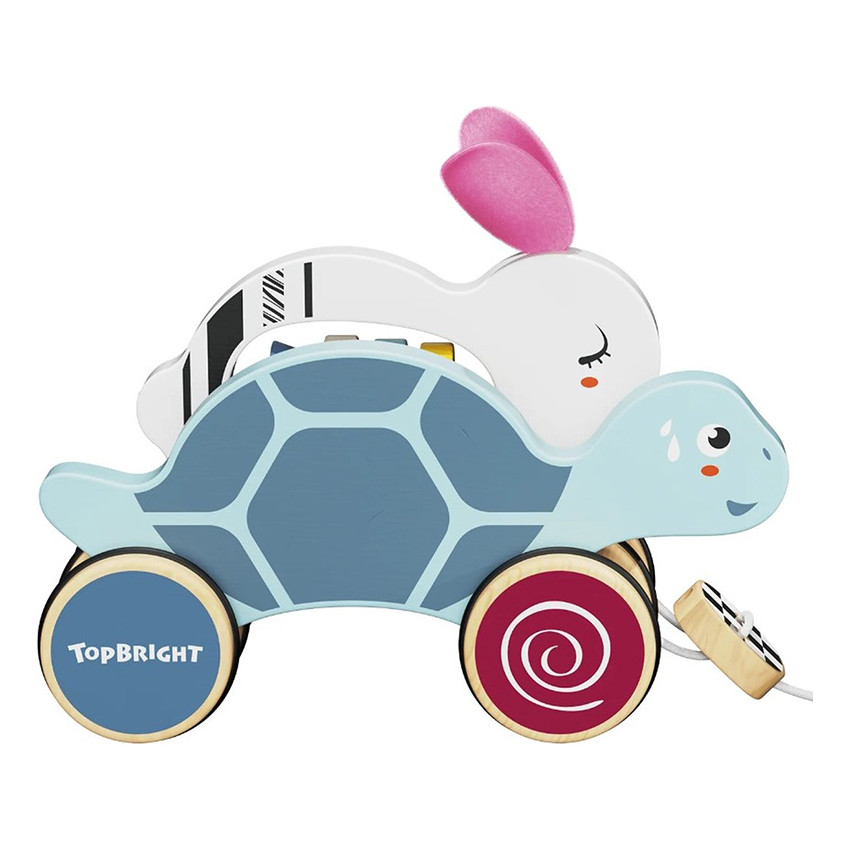 De haas en shildpad trekdier 12m+ 