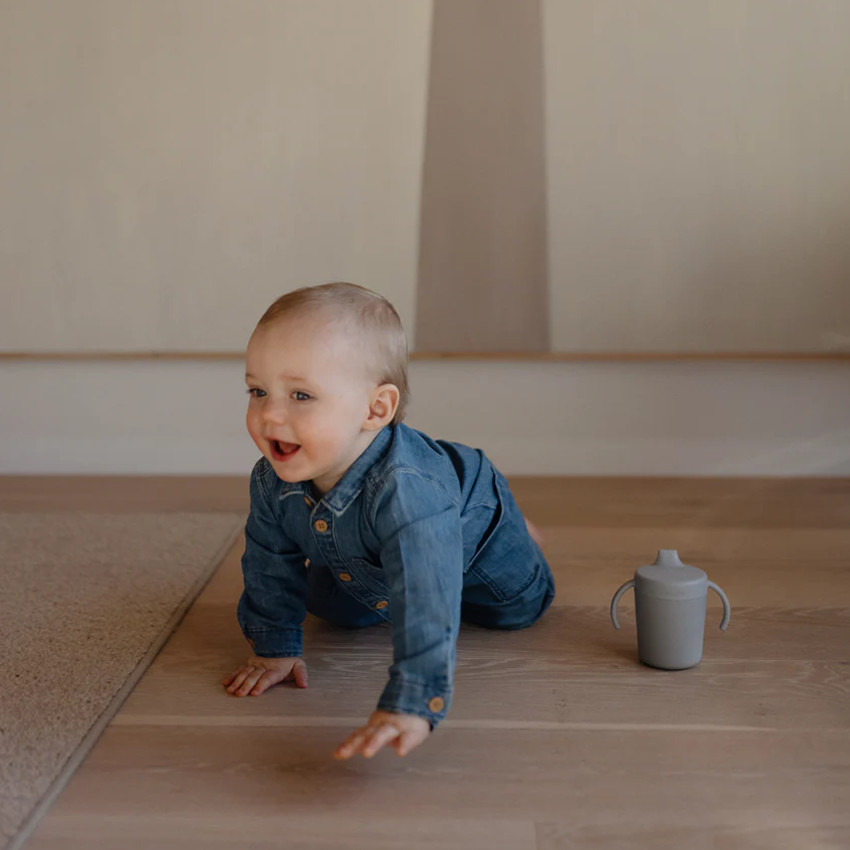 Gobelet d'apprentissage Sippy Smoke 6M+ 