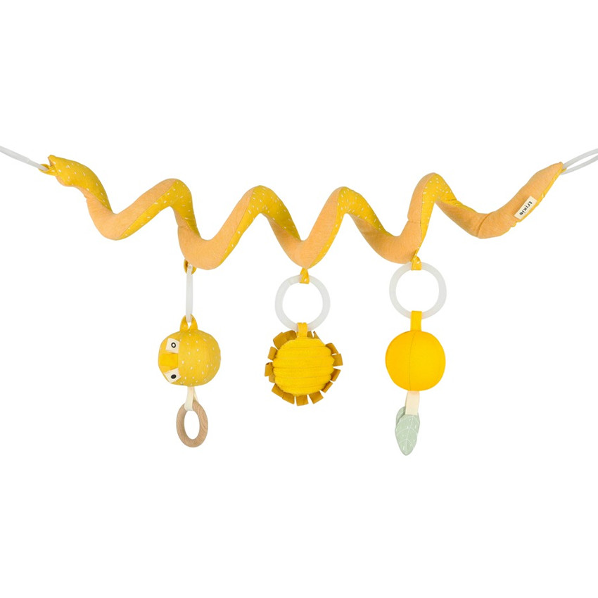 Activiteitspiraal - Mr. leeuw 