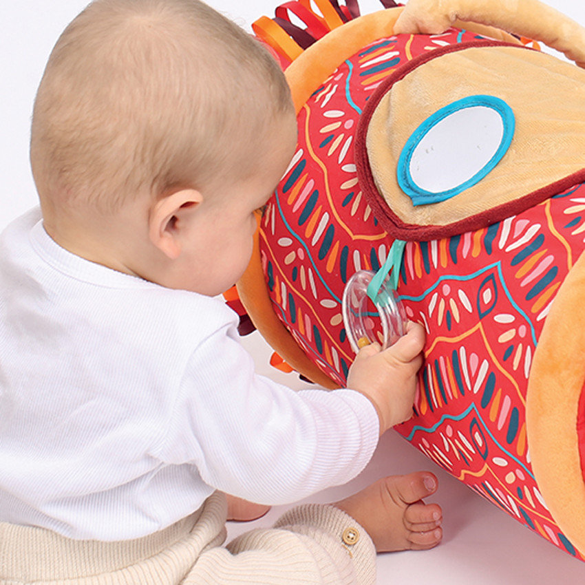 Activiteiten Roller Leeuw 