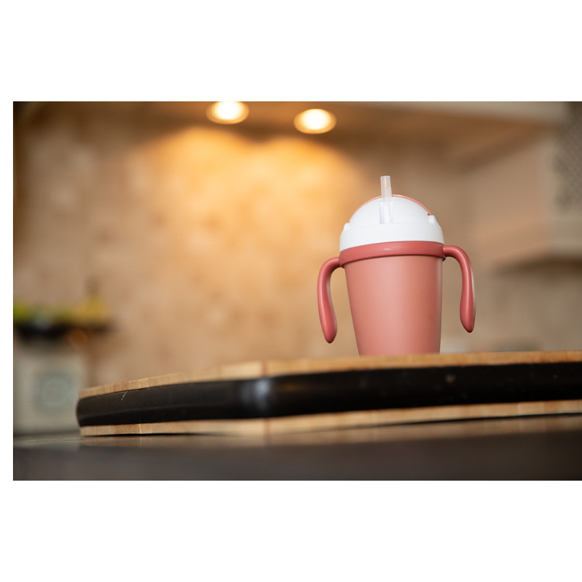 Tasse à anses terracotta  