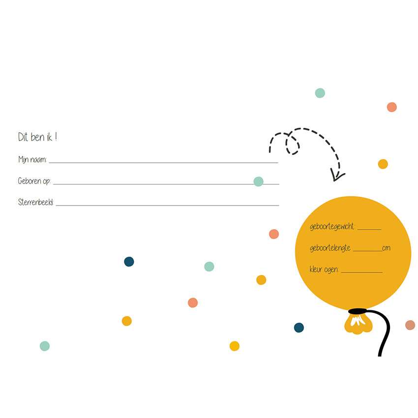 Livre d'anniversaire "Texte Néerlandais" Menthe 