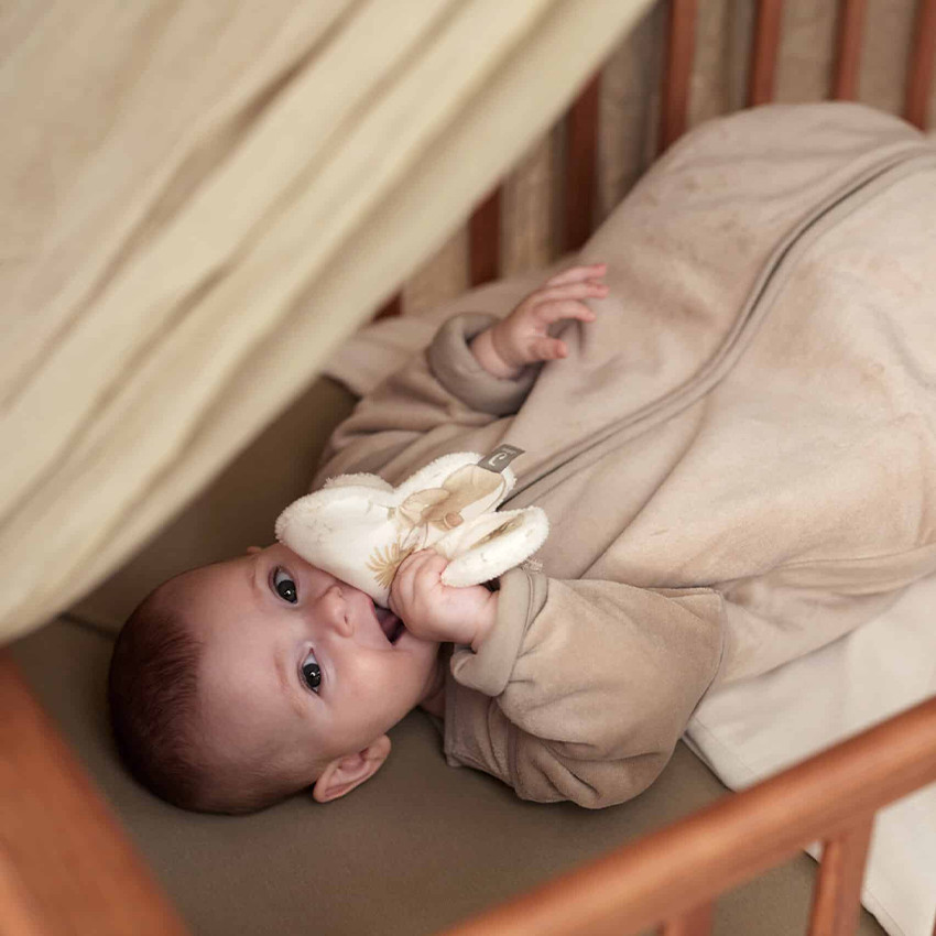 Attache-sucette papillon Dreamy Mouse 