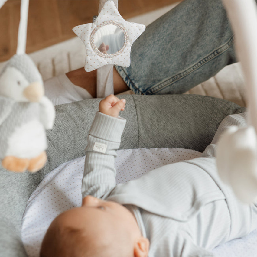 Tapis d'éveil et jeux Baby Gym Pingouin and Friends 0m+ 