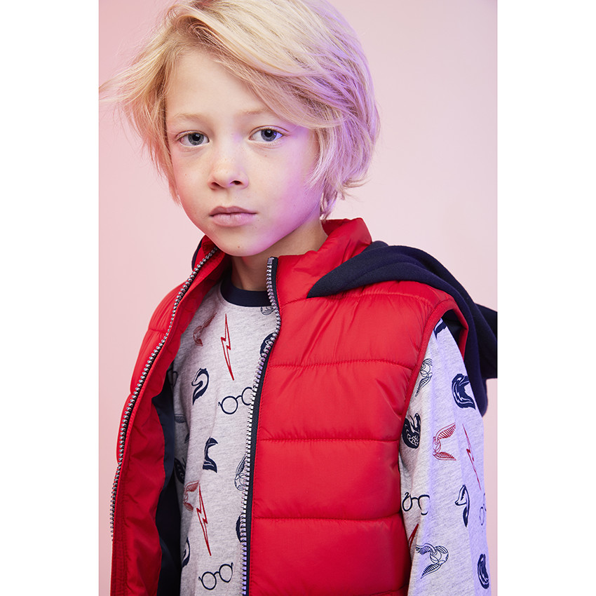 T-shirt manches longues imprimé Harry Potter Warner pour garçon 