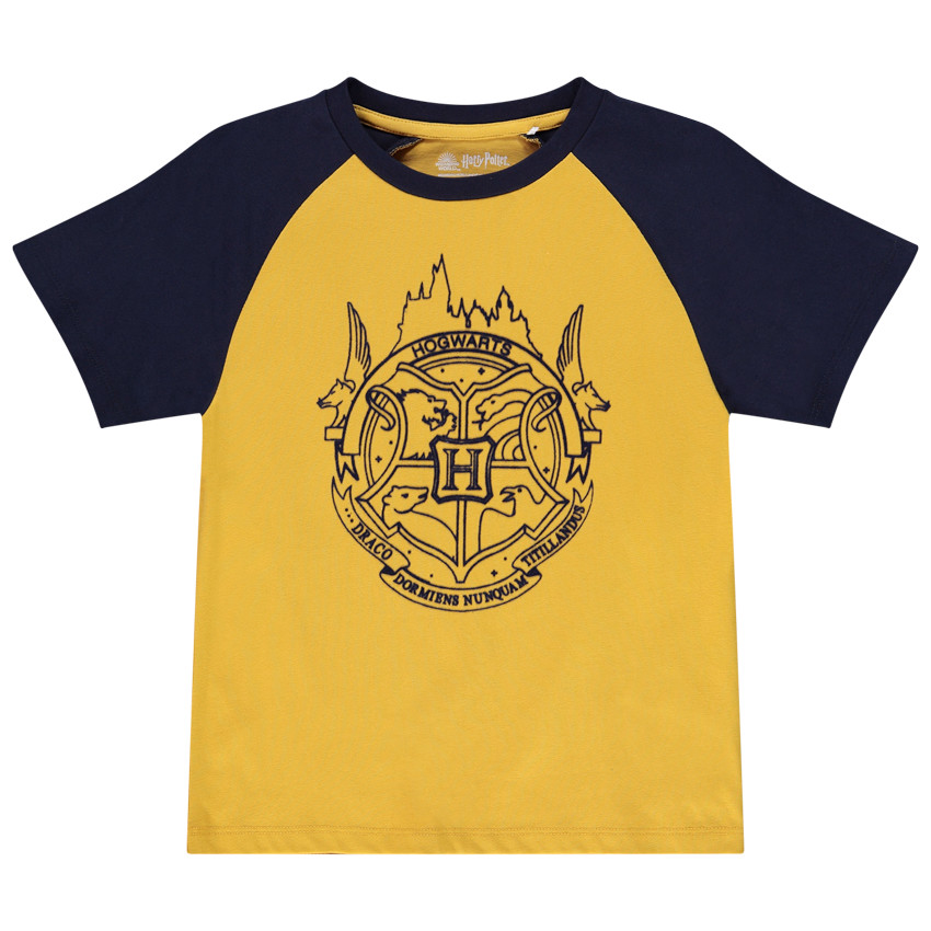 T-shirt met korte raglanmouwen in jersey met Harry Potter-print voor jongens 