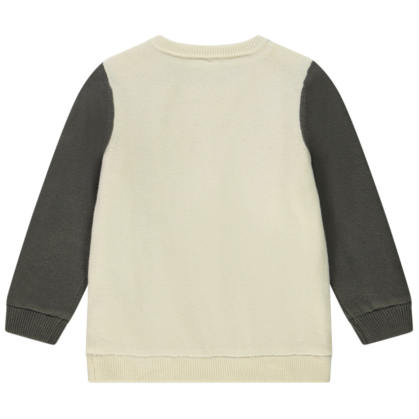 Pull en tricot doublé velours print dinosaures pour bébé garçon 